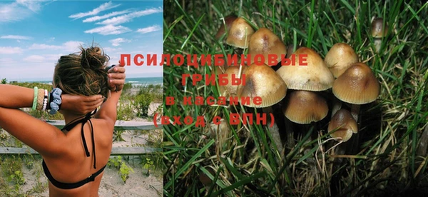 2c-b Усолье-Сибирское