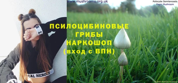 гашик Богданович